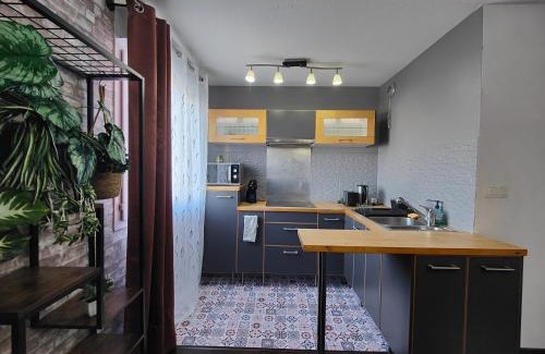 Blagnac Apartamento | Cocoon'Inn Blagnac