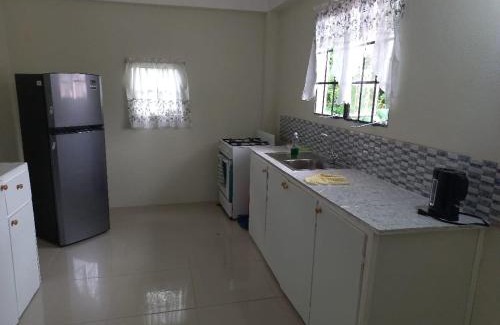 Buccoo Apartamento | Cocrico Apartments