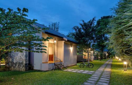 Vayittiri Complejo | Coffee Greens Resort