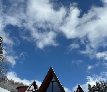 Moieciu de Jos Chalet De Esquí | Colț de RAI A-Frame
