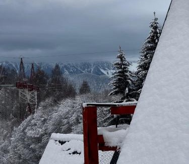 Moieciu de Jos Chalet De Esquí | Colț de RAI A-Frame