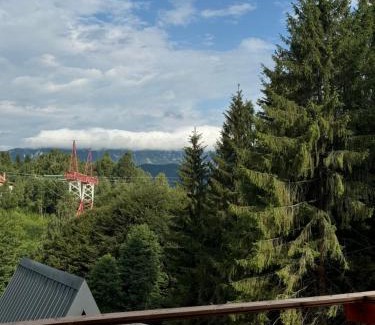 Moieciu de Jos Chalet De Esquí | Colț de RAI A-Frame