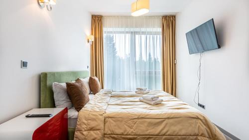 Poiana Brasov Apartamento | Cold Mountain Apartment in Silver Mountain Resort