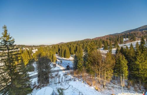 Poiana Brasov Apartamento | Cold Mountain Apartment in Silver Mountain Resort