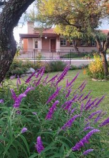 Merlo Casa | Colibríes en Las Moreras
