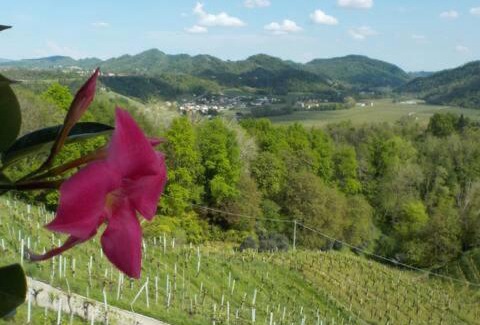 Miane Casa | Colle del Sole - Ritiro di Natura e Benessere tra le Colline del Prosecco