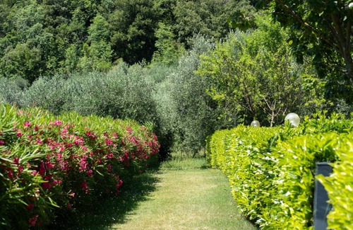 Precetto Apartamento | COLLEOLIVO: Three-room apartment in farmhouse with swimming pool, Marmore Falls