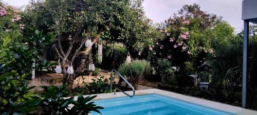 Real de San Carlos Apartamento | Colonia