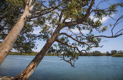 Tweed Heads South Complejo | Colonial Tweed Holiday & Home Park