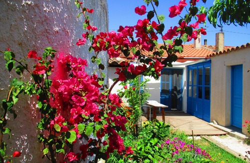 Cabras Casa | Colores del mar fiesta especial