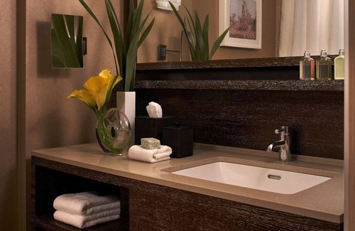 Downtown Chicago Hotel | Come Create Memories w/ Fun-filled Adventures at this Paradise! Pet-friendly!
