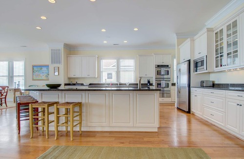 Georgetown County Casa | Come seek a Higher Porpoise!