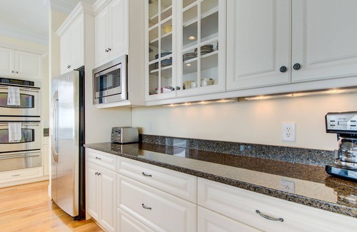 Georgetown County Casa | Come seek a Higher Porpoise!