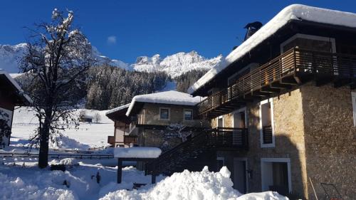 Padola Apartamento | Comelico Chalet