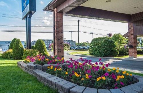 Fredericton Hotel | Comfort Inn