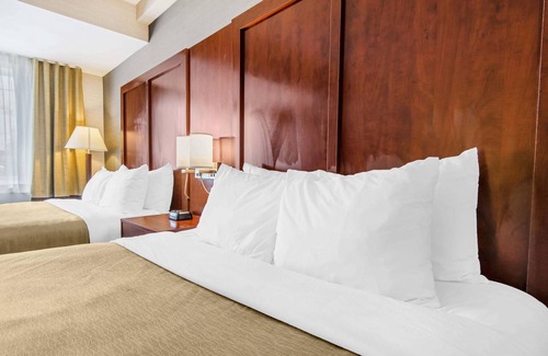 Collingwood Hotel | Comfort Inn & Suites