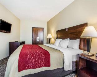 Scottsboro Hotel | Comfort Inn & Suites Near Lake Guntersville