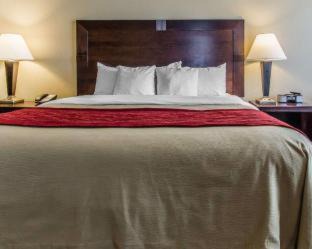 Scottsboro Hotel | Comfort Inn & Suites Near Lake Guntersville