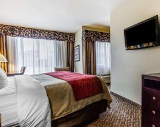 Scottsboro Hotel | Comfort Inn & Suites Near Lake Guntersville