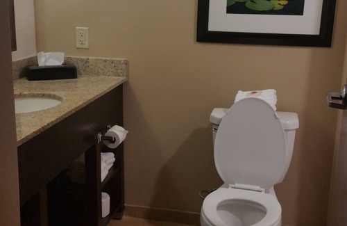 San Marcos Hotel | Comfort Inn & Suites San Marcos near Outlet Mall