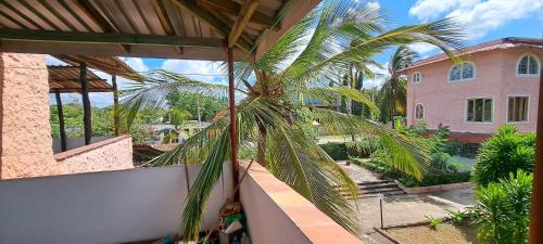 Malindi Apartamento | comfort one bedroom
