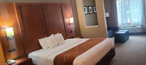 New Braunfels Hotel | Comfort Suites New Braunfels - San Antonio Area