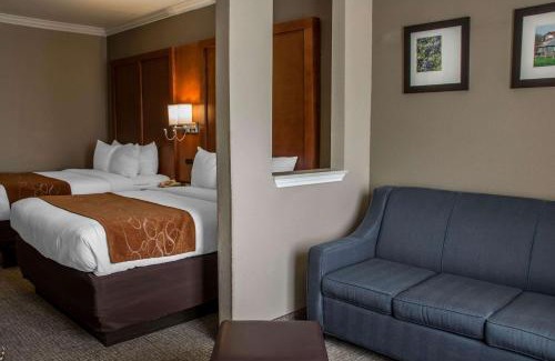 New Braunfels Hotel | Comfort Suites New Braunfels - San Antonio Area