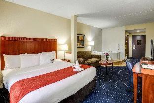 Skyland Hotel | Comfort Suites Outlet Center