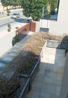 Bahria Town Casa | Comfort Zone with Luxury