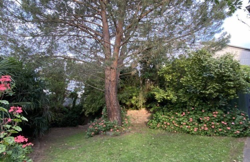 Healesville Casa | Comfortable 3 bedroom home close to everything!