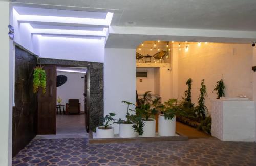 Zona 7 Apartamento | Comfortable and Beautiful Room 5 minutes from Tikal Futura H3