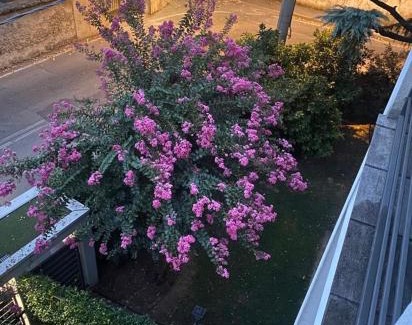 Biassono Apartamento | Comfortable apartment - Monza park with garage