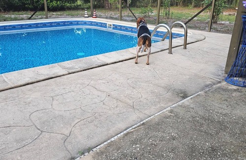 Winter Haven Casa | Comfortable bedroom and house to stay in w/ swimming pool.