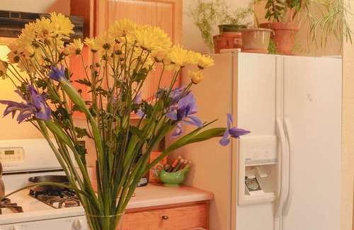 Taos Casa | Comfortable home in historic acequia neighborhood