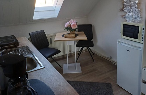 Dorfles-Esbach Apartamento | Comfortable single apartment with living area and kitchenette