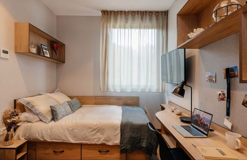Deustuko San Pedro-Erribera Apartamento | Comfortable Studio in the heart of Bilbao