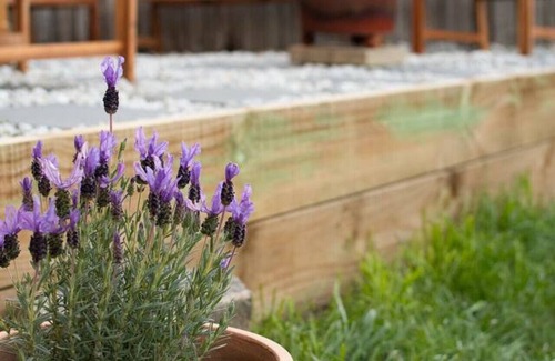 West Launceston Apartamento | Comfortable Town House Near City