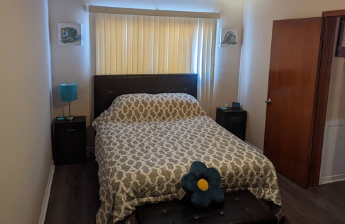 Shelby Township Apartamento | Comfy -1 Bedroom Apartment / Shelby Twp, Mi (Apt #2)