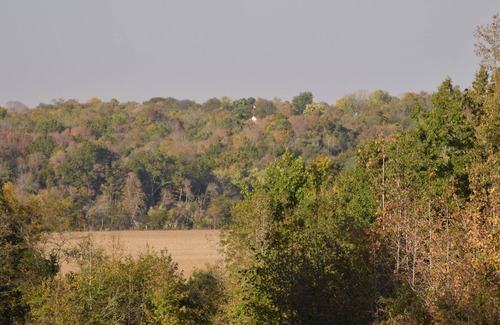 Clarksville Cabina | Comfy, Cozy Secluded Cabin !