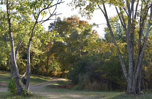 Clarksville Cabina | Comfy, Cozy Secluded Cabin !
