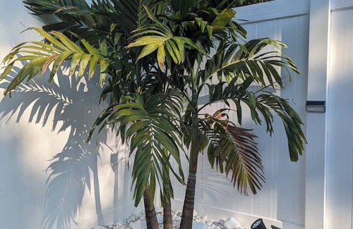 St. Petersburg - Clearwater Apartamento | Comfy Guest House in St Pete