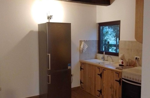 Borsa Cabina | Comfy Nature retreat in the Carpathian Mountains - Edelweiss Cabin