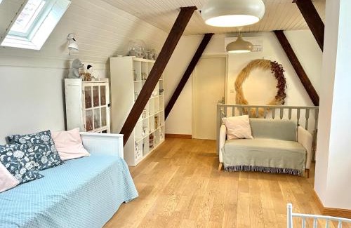 Schiltigheim Casa | Comme une suite d hôtel, 45M2 Chez Regine