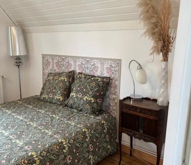 Schiltigheim Casa | Comme une suite d hôtel, 45M2 Chez Regine