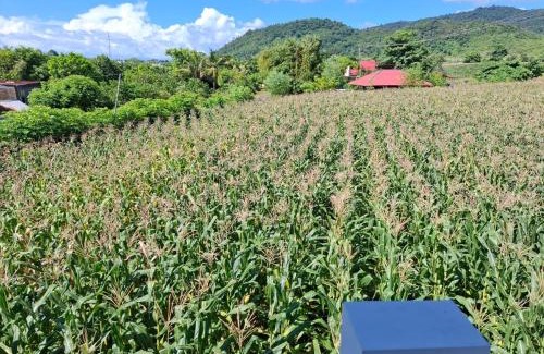 Hu'u Cama Y Desayuno | Compass Homestay