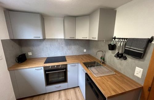 Goldswil Apartamento | Completely refurbished comfortable apartment