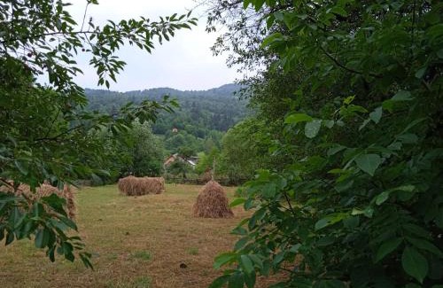 Ceahlau Casa | Complex de pensiuni si casute la munte Bistricioara