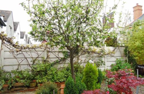 Hillside Casa | Compton Guest House
