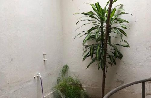 Santiago del Estero Apartamento | Con Garage - Casa Acogedora en el Centro de la Ciudad