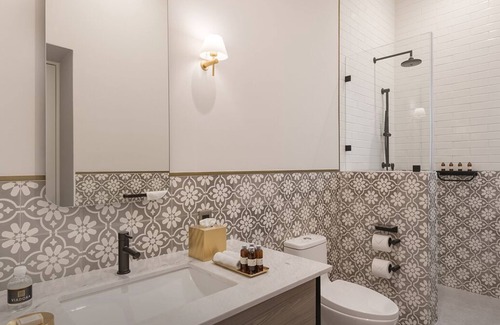 Hipodromo Hotel | Condesa-Charming 2BD 1BA in historic house 4 pax